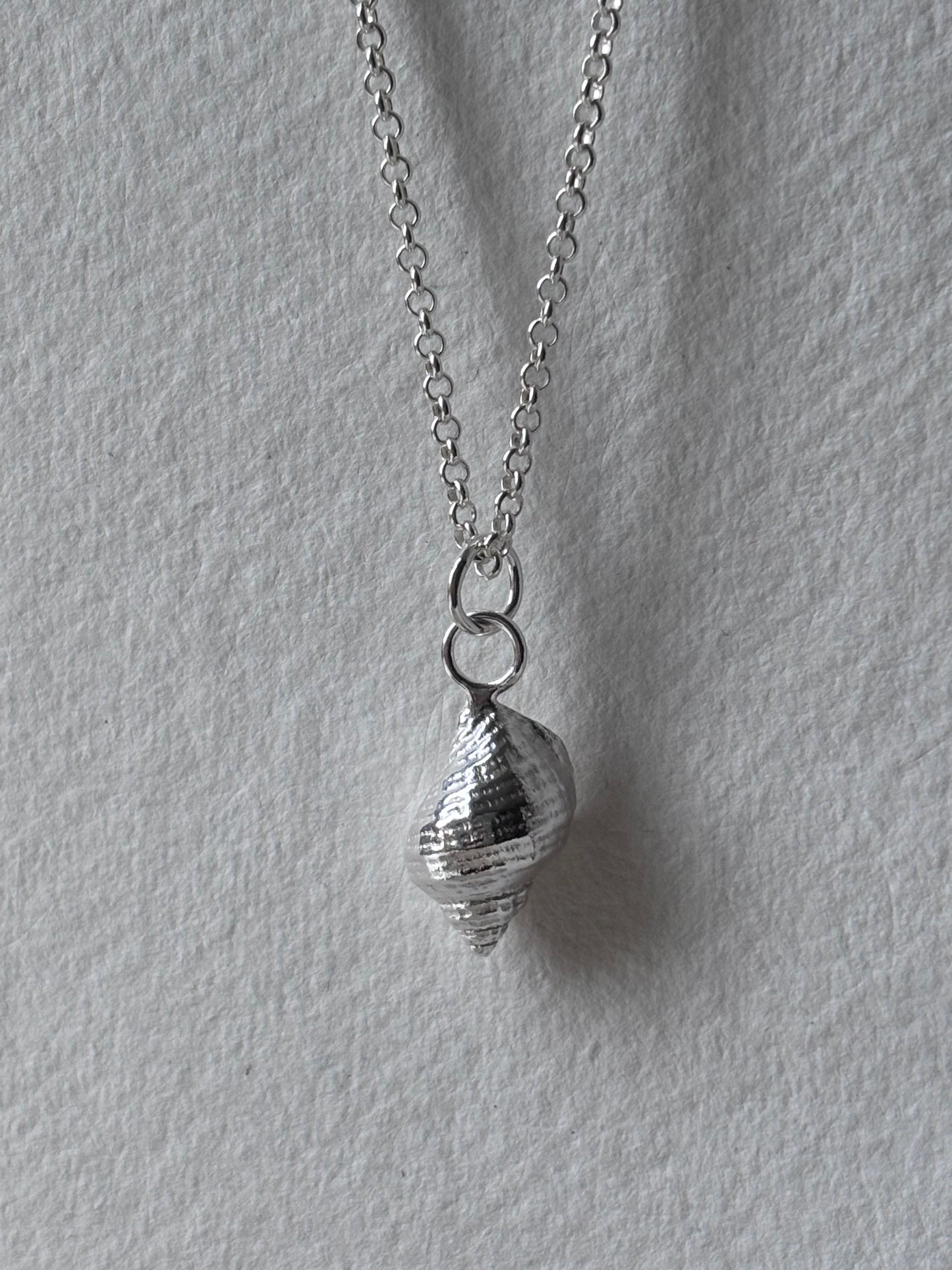 Levan Shell Pendant In Silver