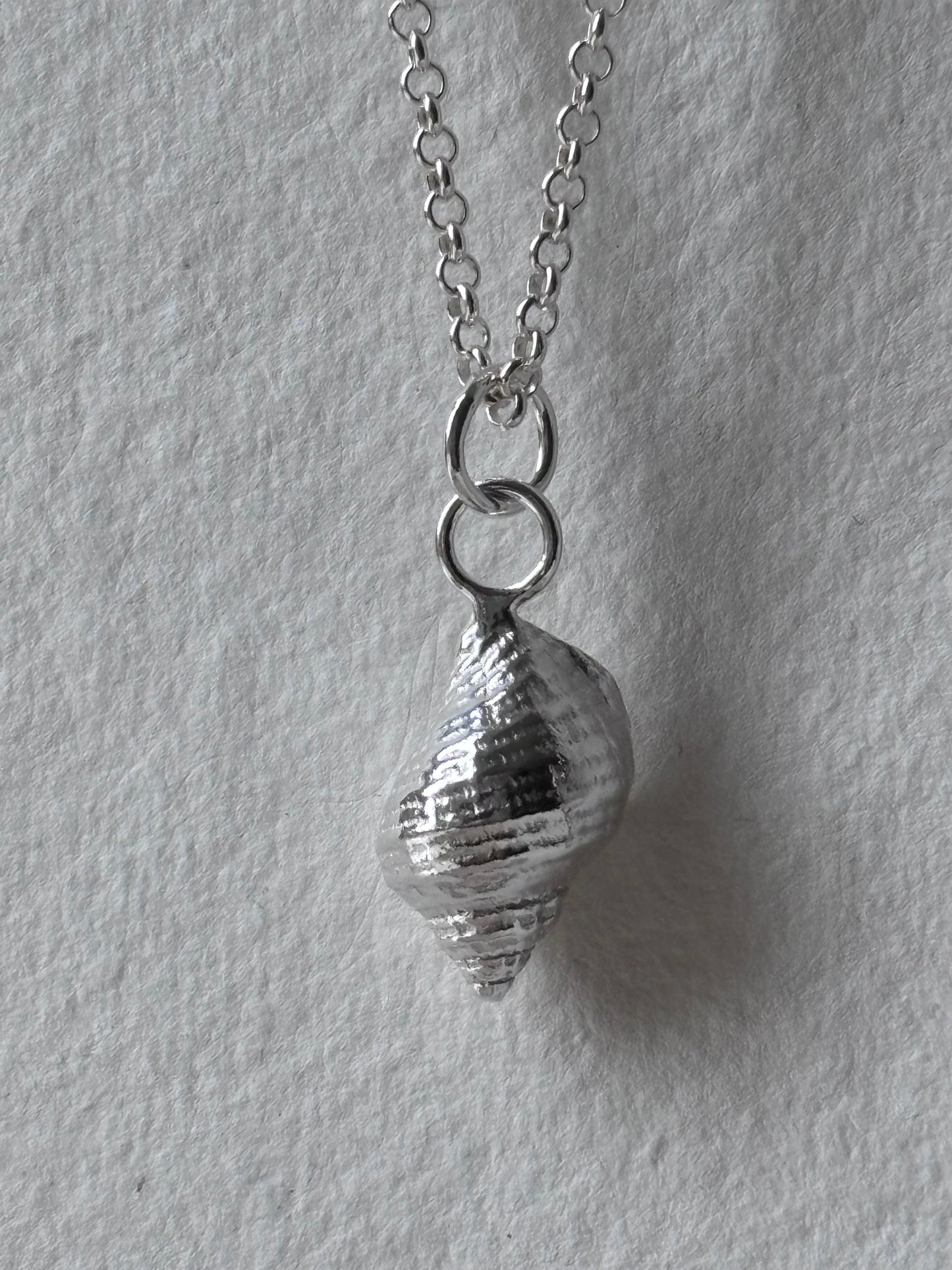 Levan Shell Pendant In Silver