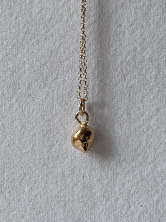 Gourock Shell Necklace in Gold