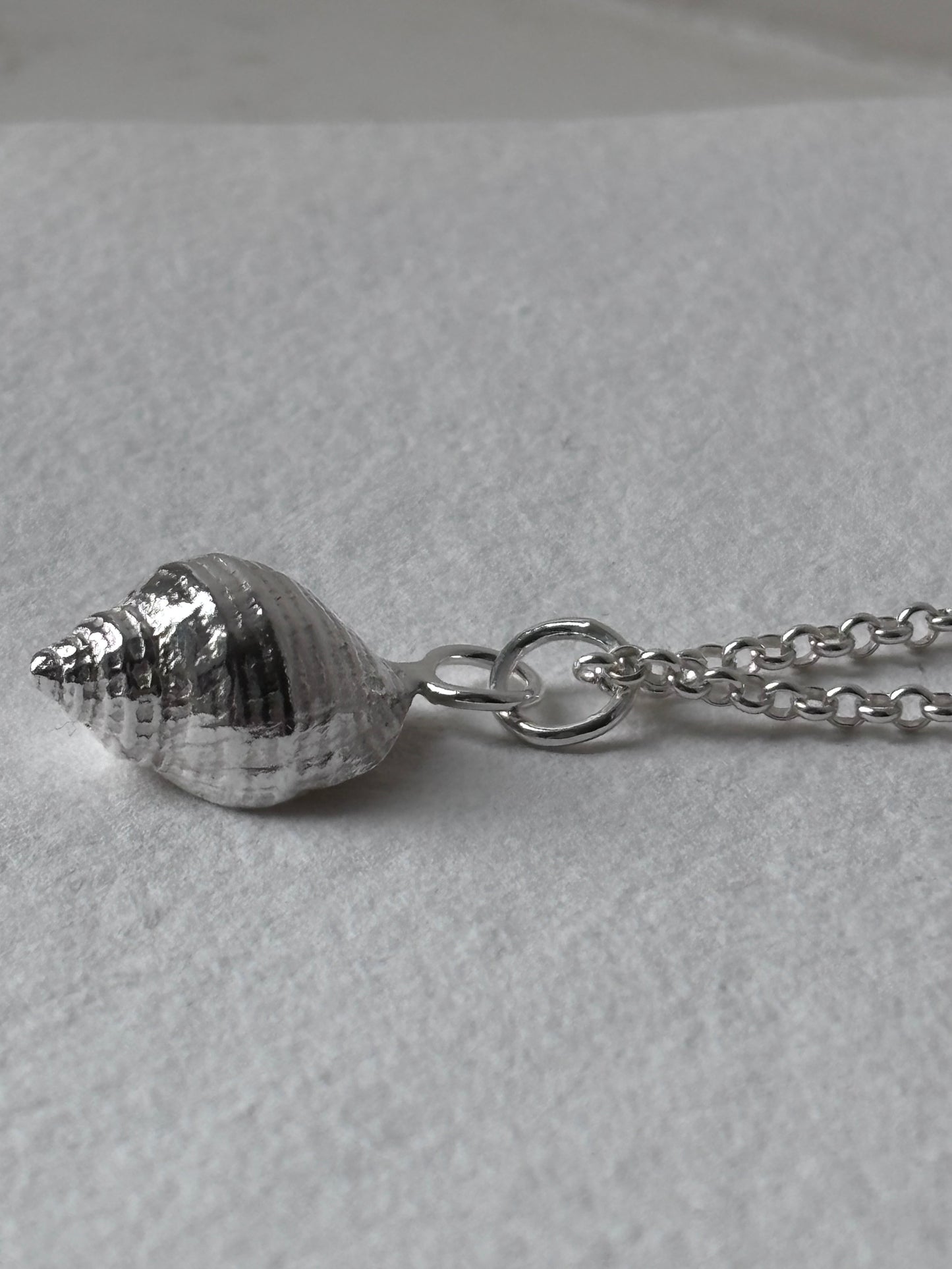 Levan Shell Pendant In Silver