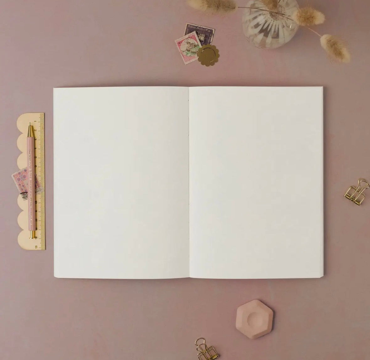 Mushrooms Notebook